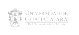 bridge-marketing-digital-cliente-3-1