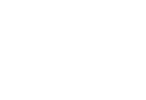 Logos_vuejs-1-1-300x206