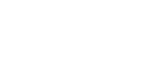 wp-desarrollo-de-paginas-web